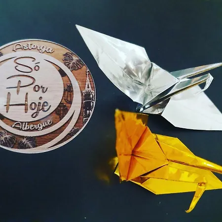 Só Por Hoje , De Peregrinos No Caminho De Santiago Astorga