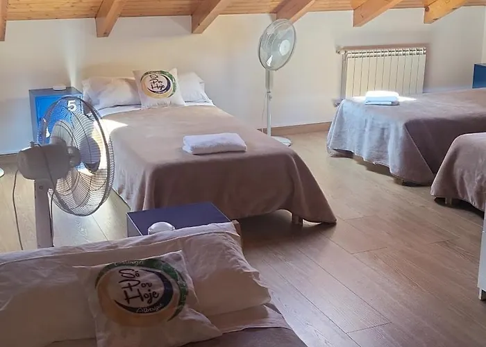 So Por Hoje , Peregrinos Del Caminho De Santiago